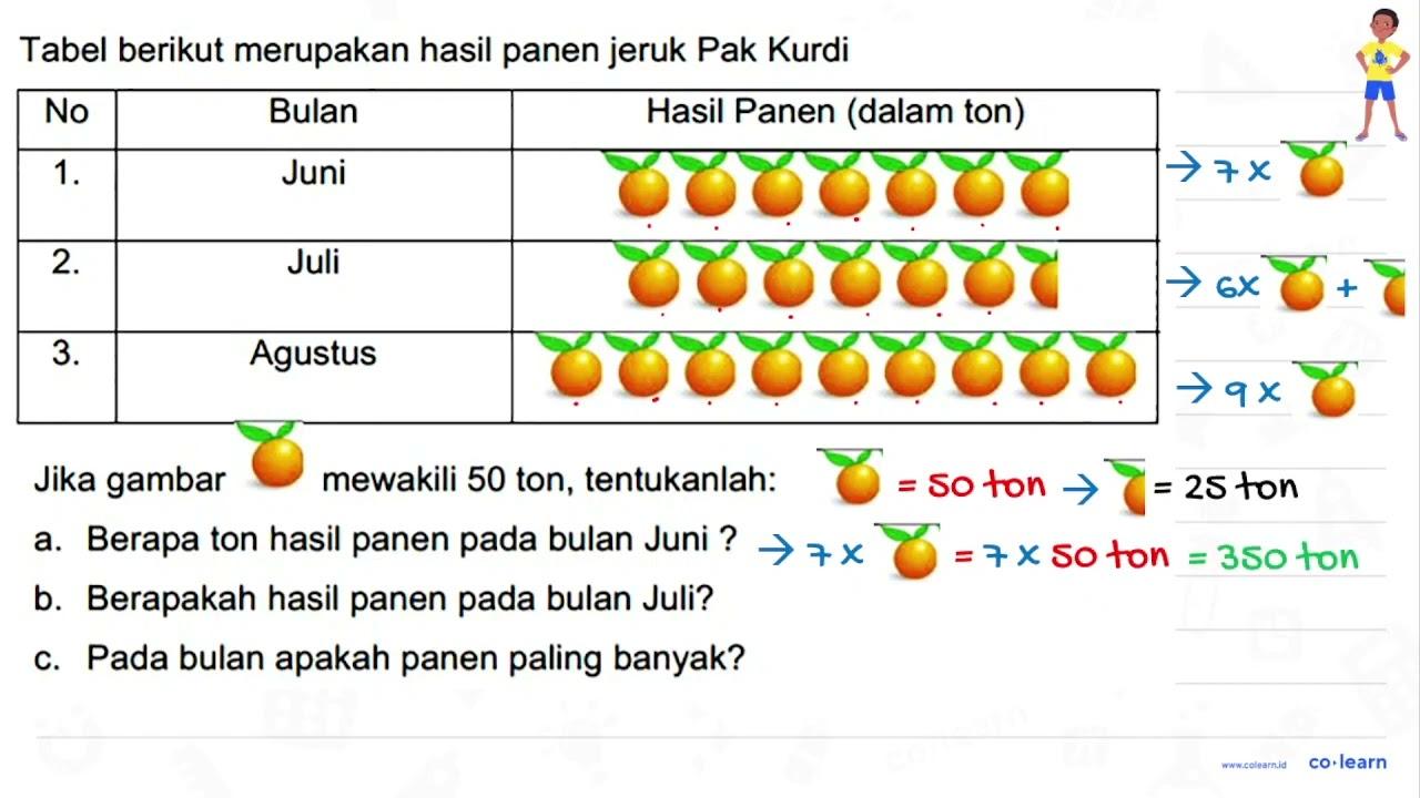 Tabel berikut merupakan hasil panen jeruk Pak Kurdi