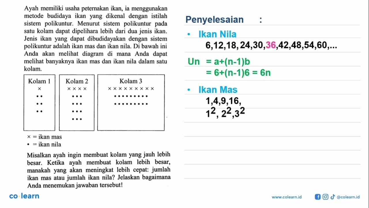 Ayah memiliki usaha peternakan ikan, ia menggunakan metode