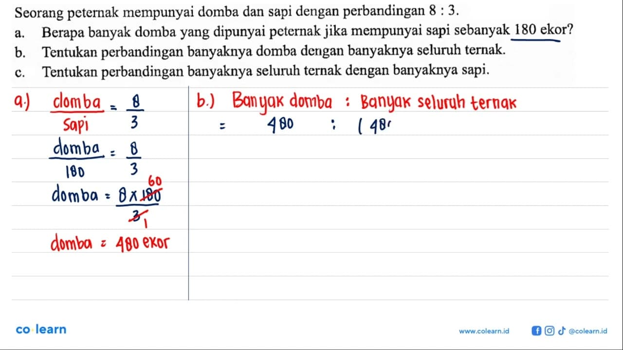 Seorang peternak mempunyai domba dan sapi dengan