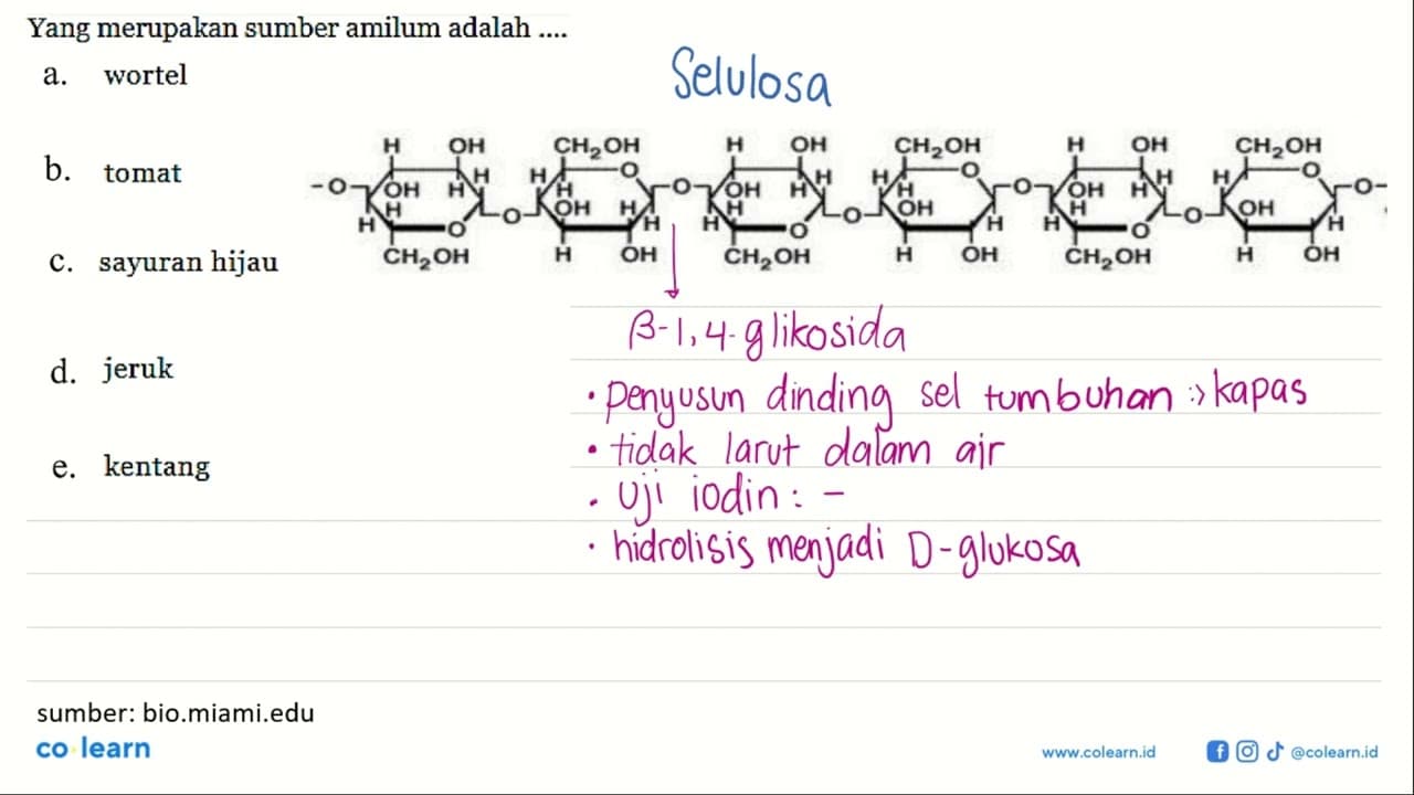 Yang merupakan sumber amilum adalah .... a. wortel b. tomat