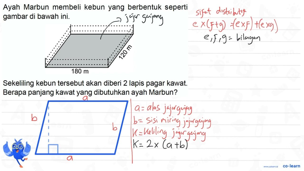 Ayah Marbun membeli kebun yang berbentuk seperti gambar di