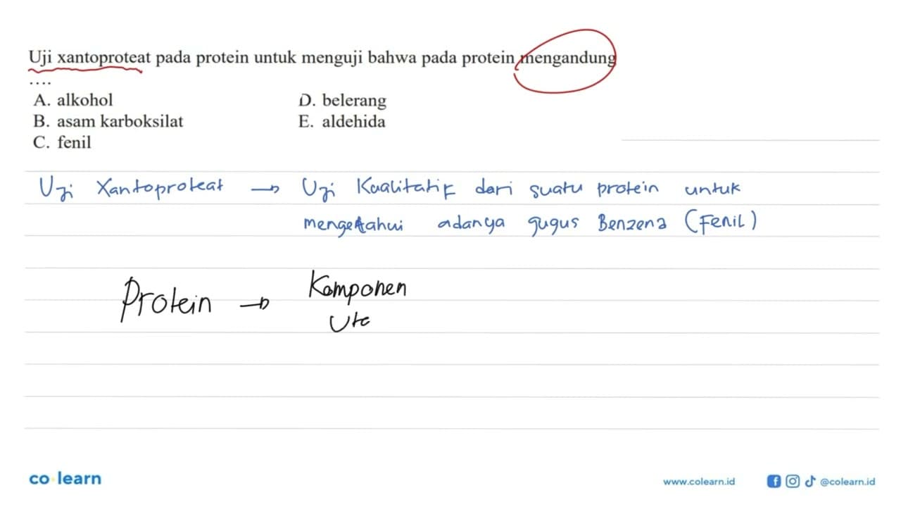 Uji xantoproteat pada protein untuk menguji bahwa pada