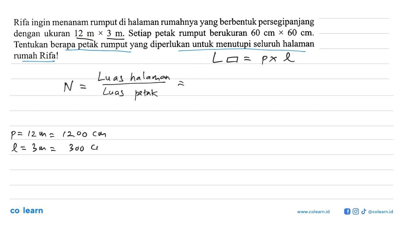 Rifa ingin menanam rumput di halaman rumahnya yang