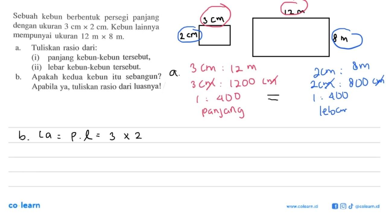 Sebuah kebun berbentuk persegi panjang dengan ukuran 3 cm x