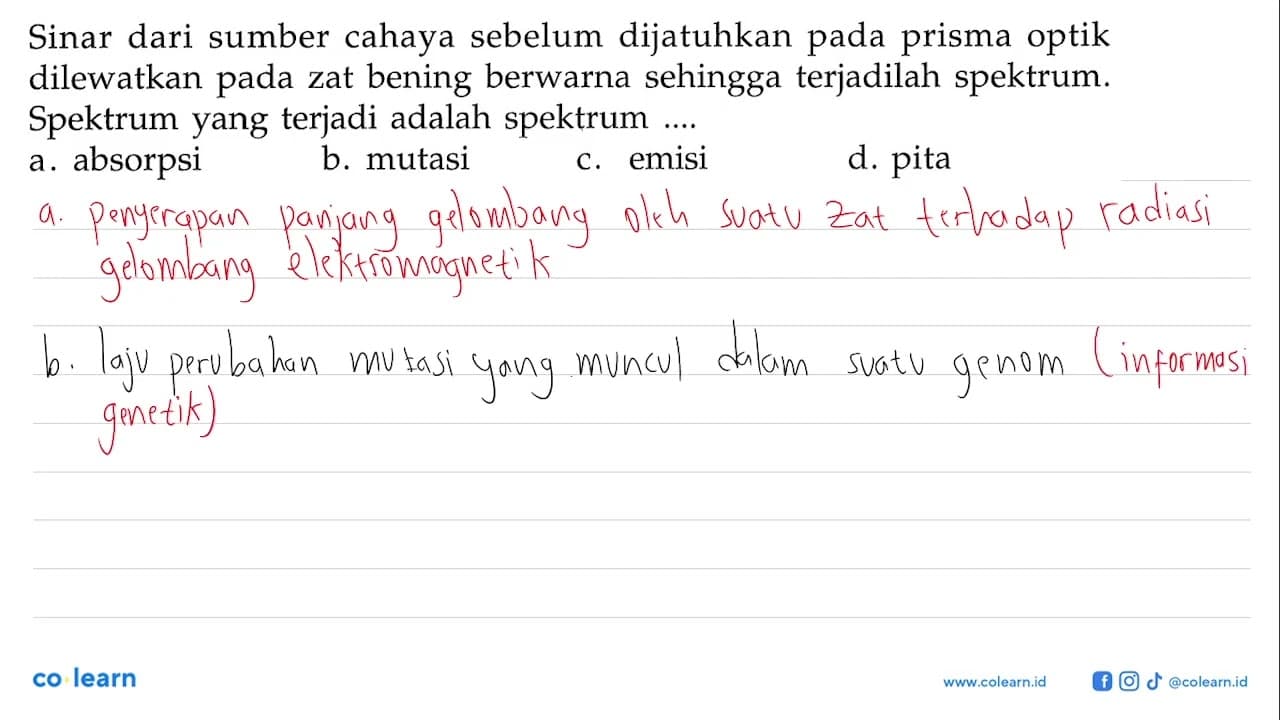 Sinar dari sumber cahaya sebelum dijatuhkan pada prisma