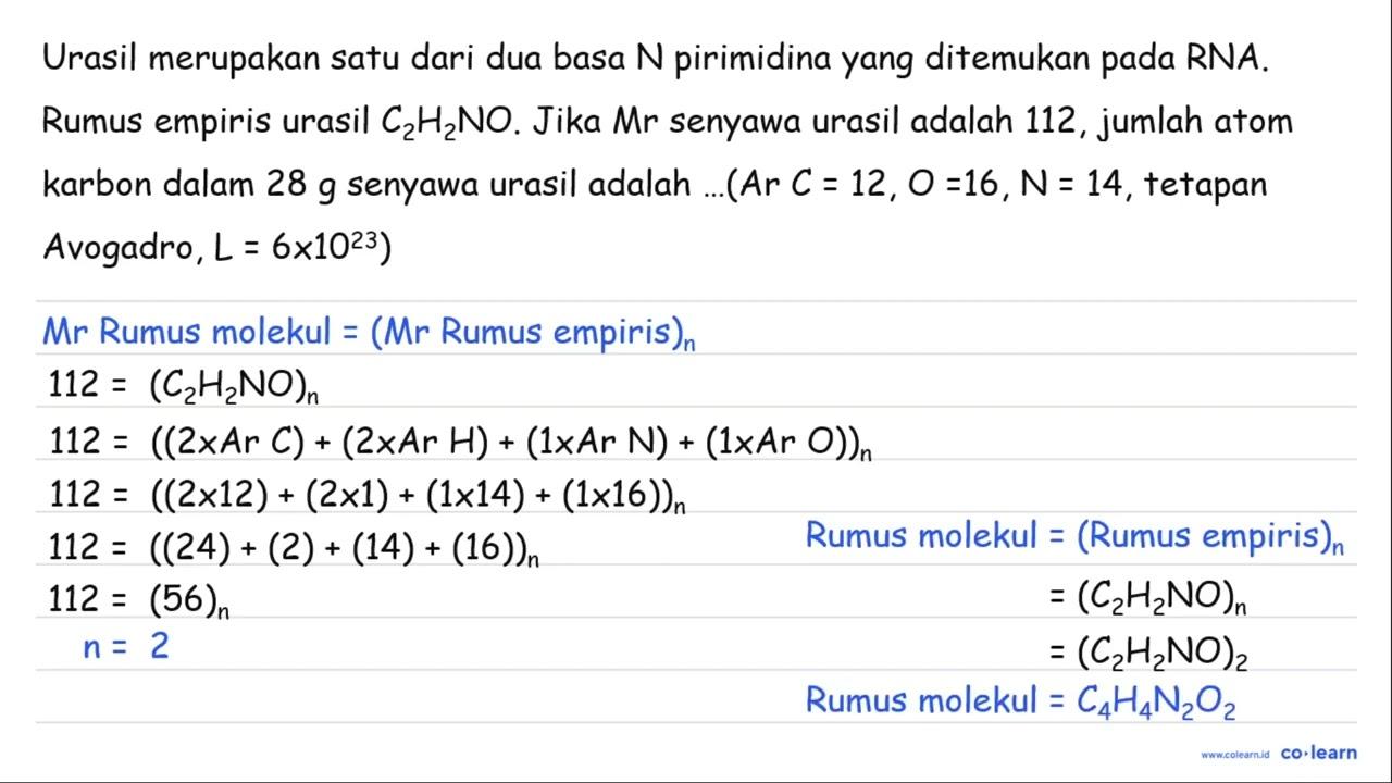 Urasil merupakan satu dari dua basa N pirimidina yang