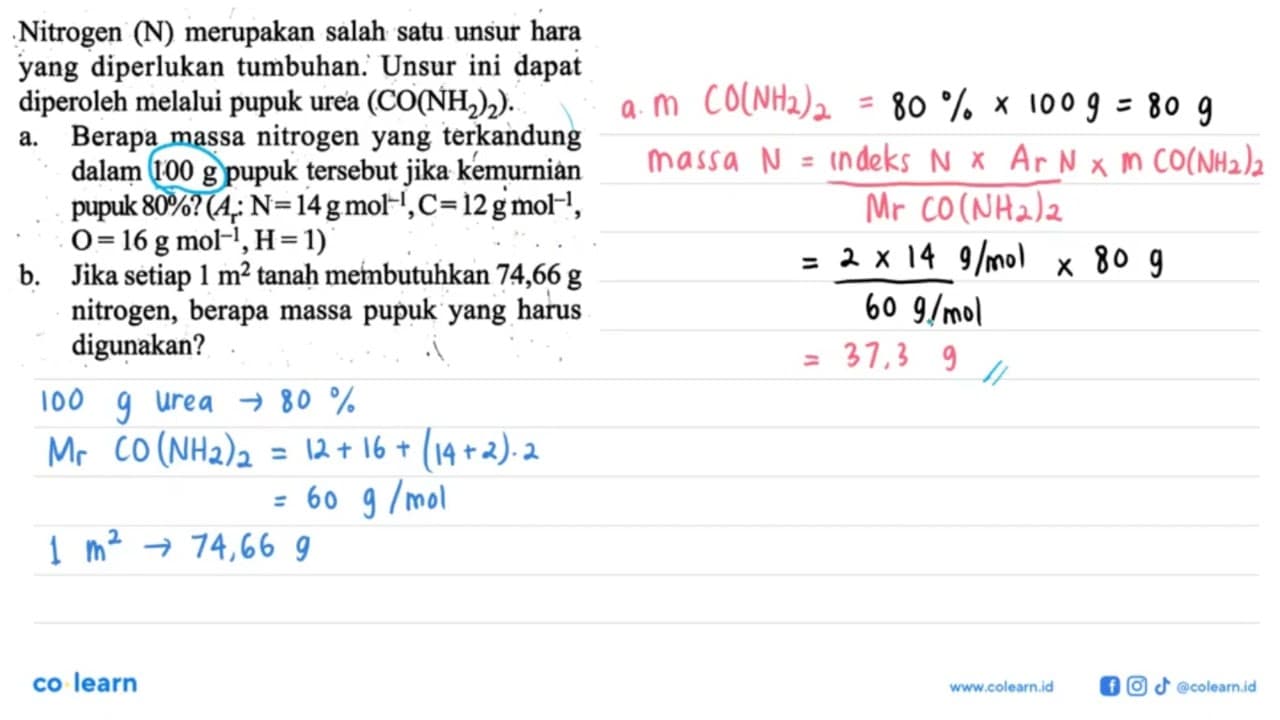 Nitrogen (N) merupakan salah satu unsur hara yang