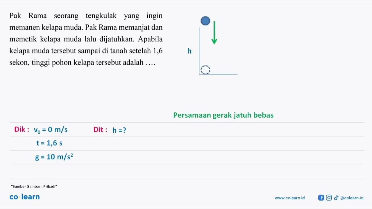 Pak Rama seorang tengkulak yang ingin memanen kelapa muda.