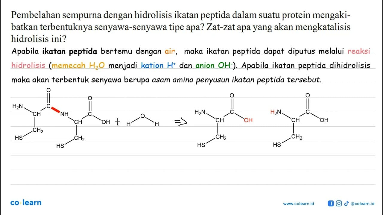 Pembelahan sempurna dengan hidrolisis ikatan peptida dalam