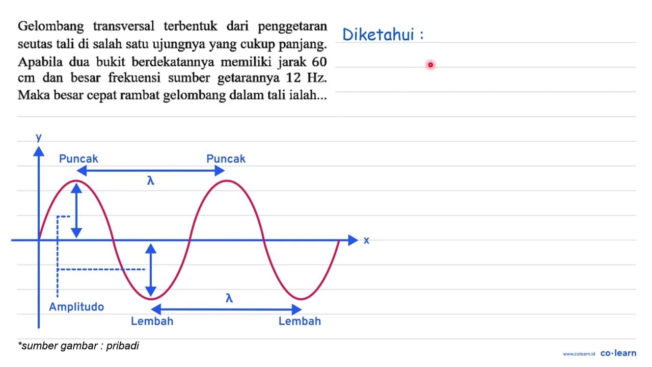 Gelombang transversal terbentuk dari penggetaran seutas