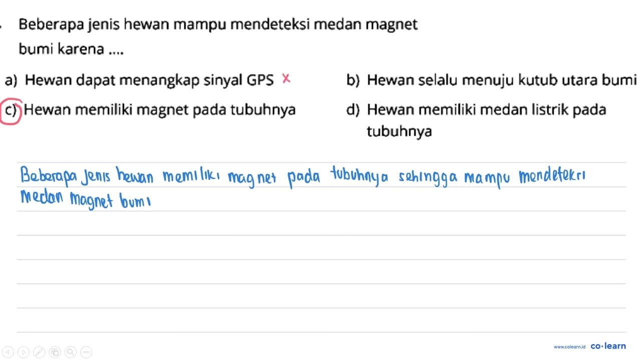 Beberapa jenis hewan mampu mendeteksi medan magnet bumi