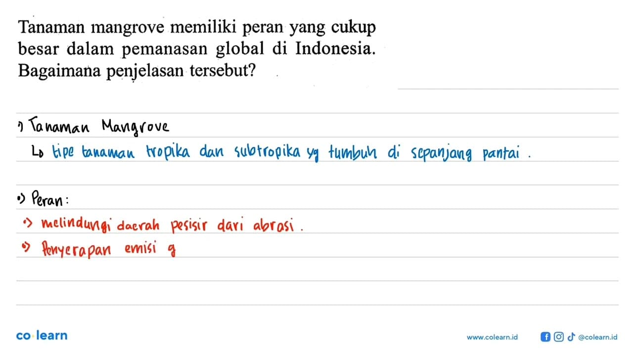 Tanaman mangrove memiliki peran yang cukup besar dalam