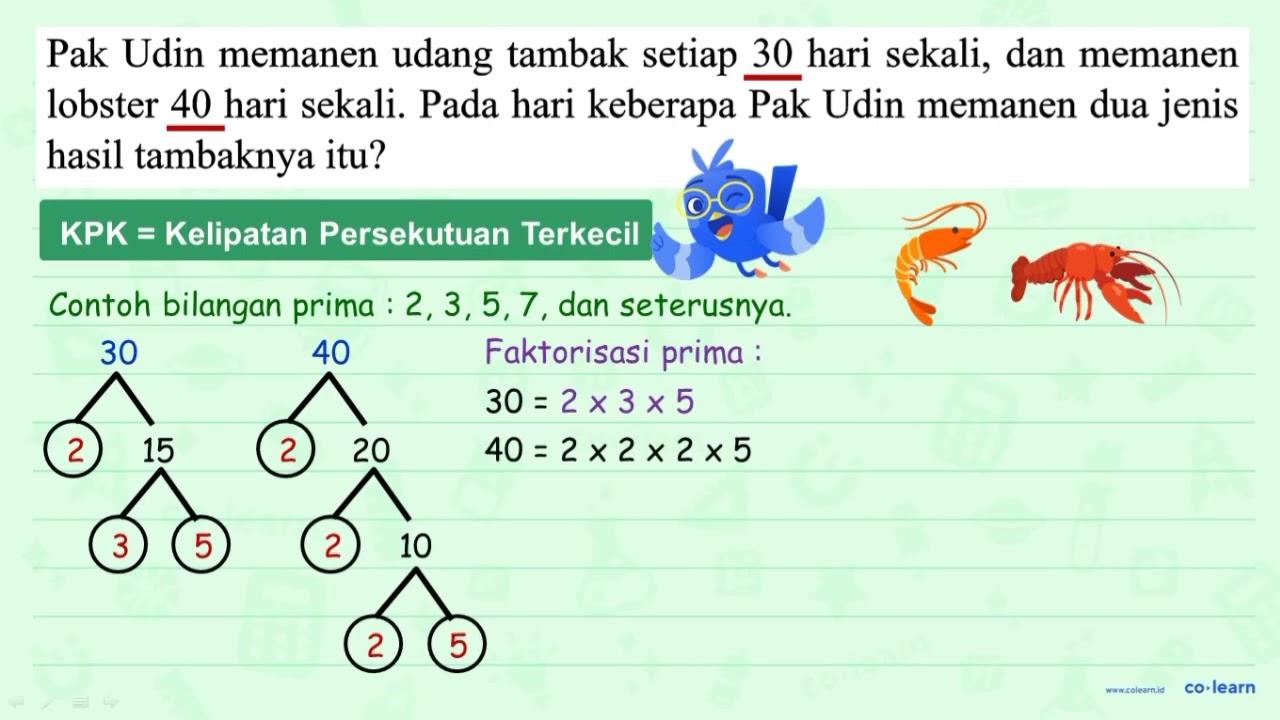 Pak Udin memanen udang tambak setiap 30 hari sekali, dan