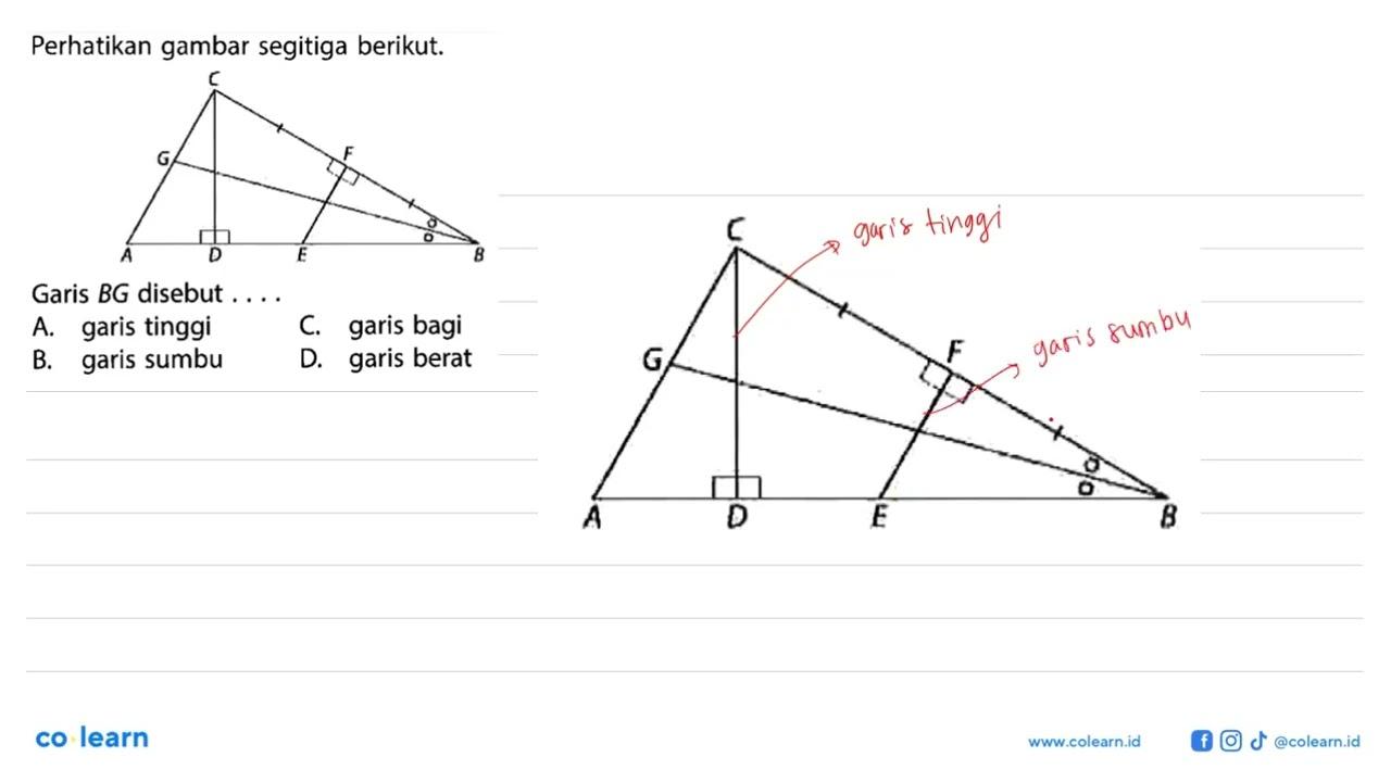 Perhatikan gambar segitiga berikut.Garis BG disebut ....A.