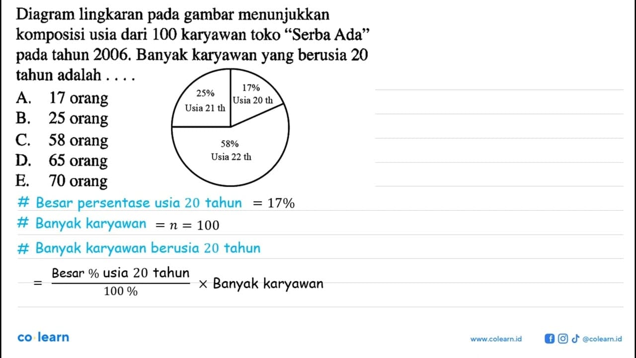 Diagram lingkaran pada gambar menunjukkan komposisi usia