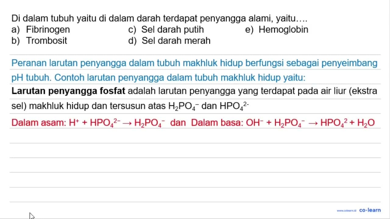 Di dalam tubuh yaitu di dalam darah terdapat penyangga