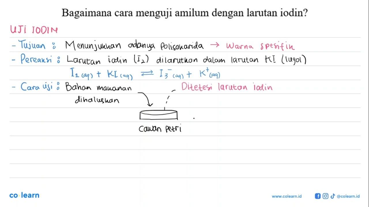 Bagaimana cara menguji amilum dengan larutan iodin?