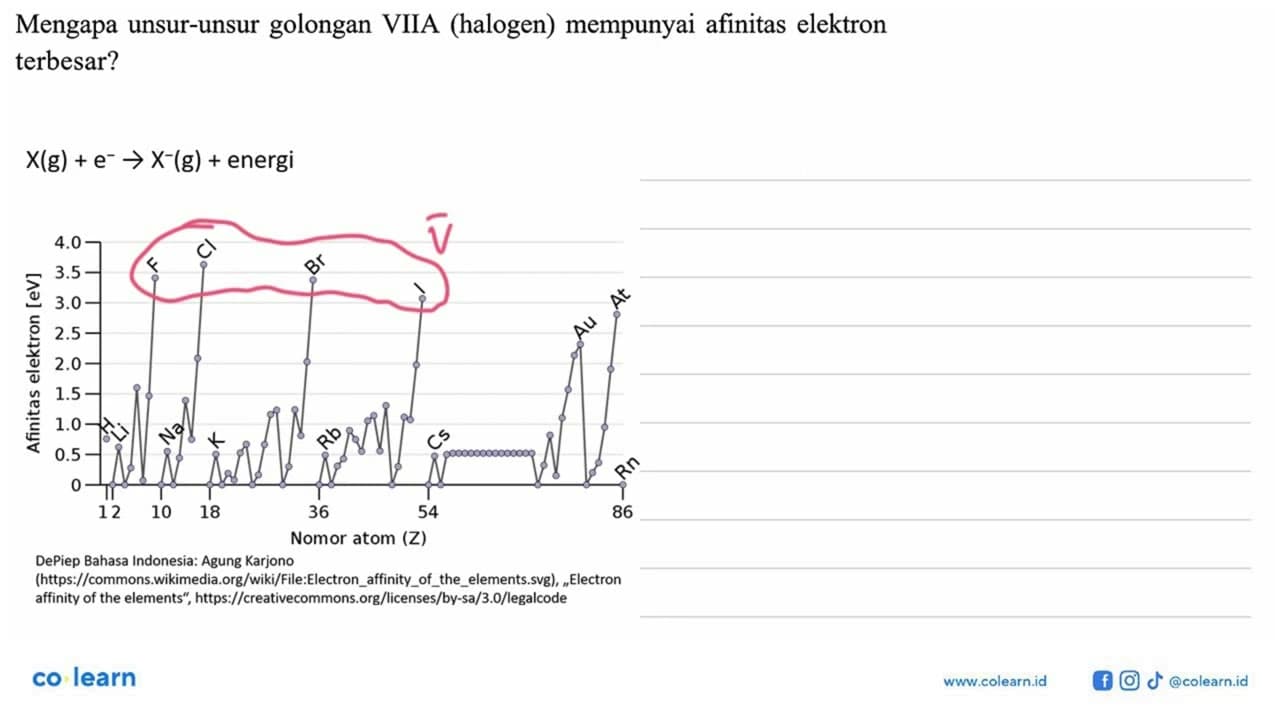 Mengapa unsur-unsur golongan VIIA (halogen) mempunyai