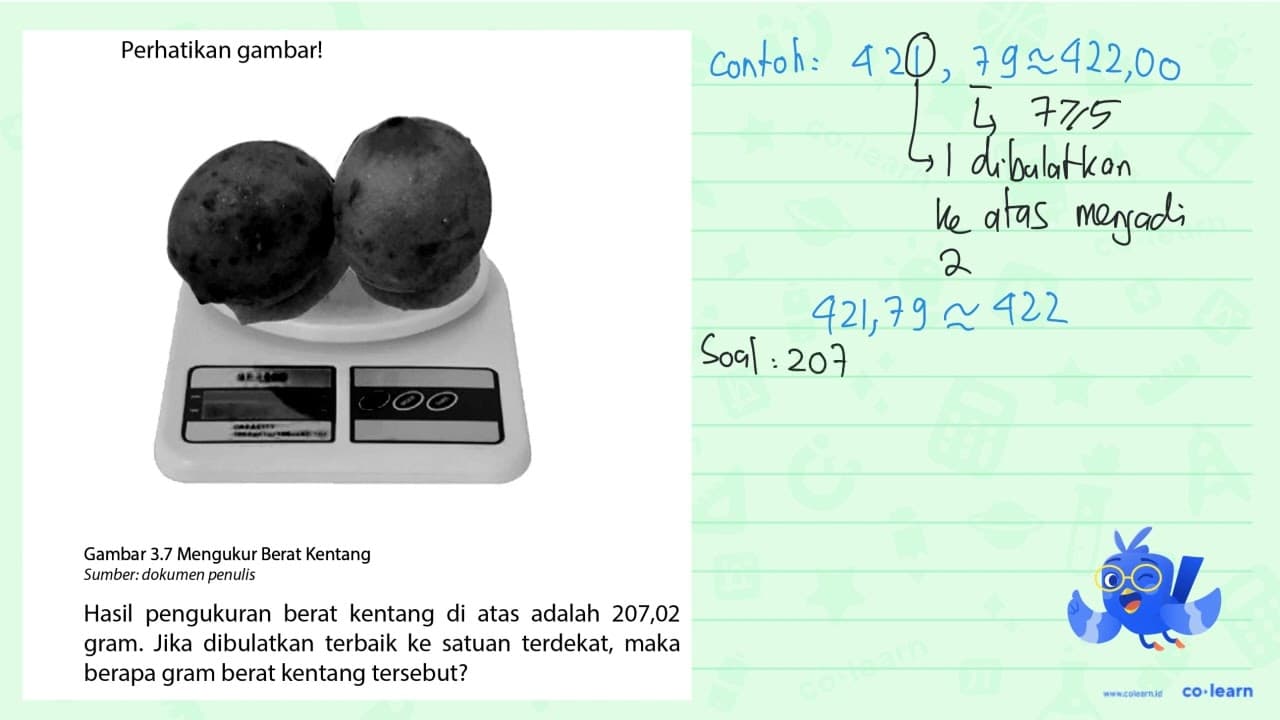 Perhatikan gambar! (dua kentang) Gambar 3.7 Mengukur Berat