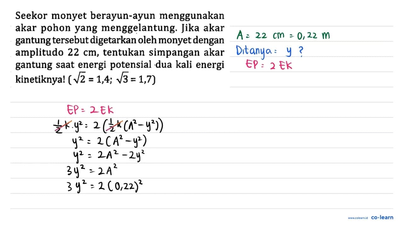 Seekor monyet berayun-ayun menggunakan akar pohon yang