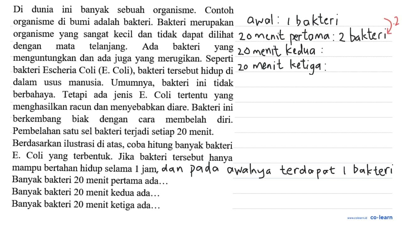 Di dunia ini banyak sebuah organisme. Contoh organisme di