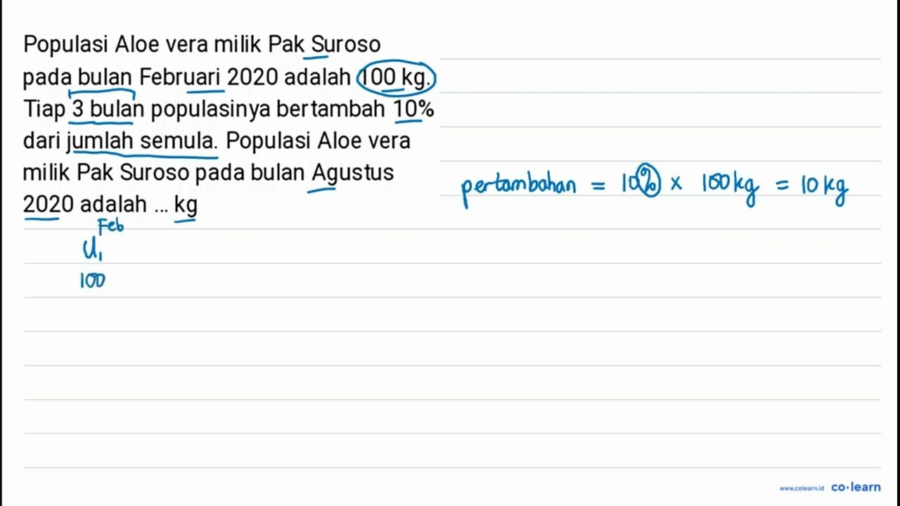 Populasi Aloe vera milik Pak Suroso pada bulan Februari