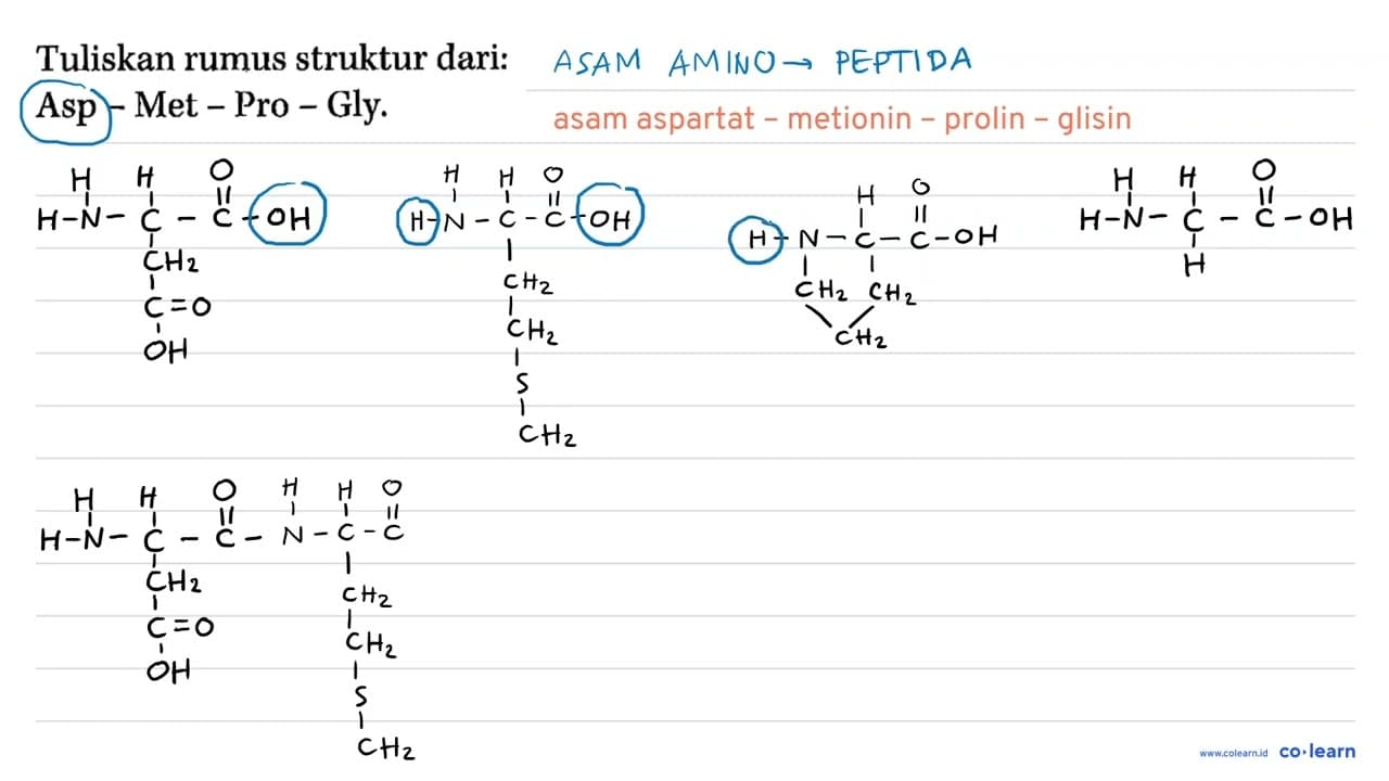 Tuliskan rumus struktur dari: Asp - Met - Pro - Gly.