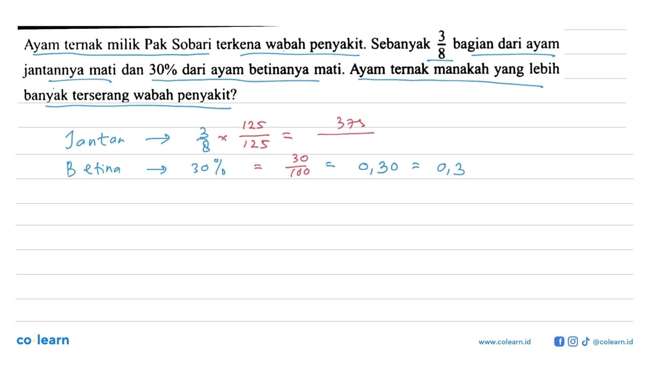 Ayam ternak milik Pak Sobari terkena wabah penyakit.