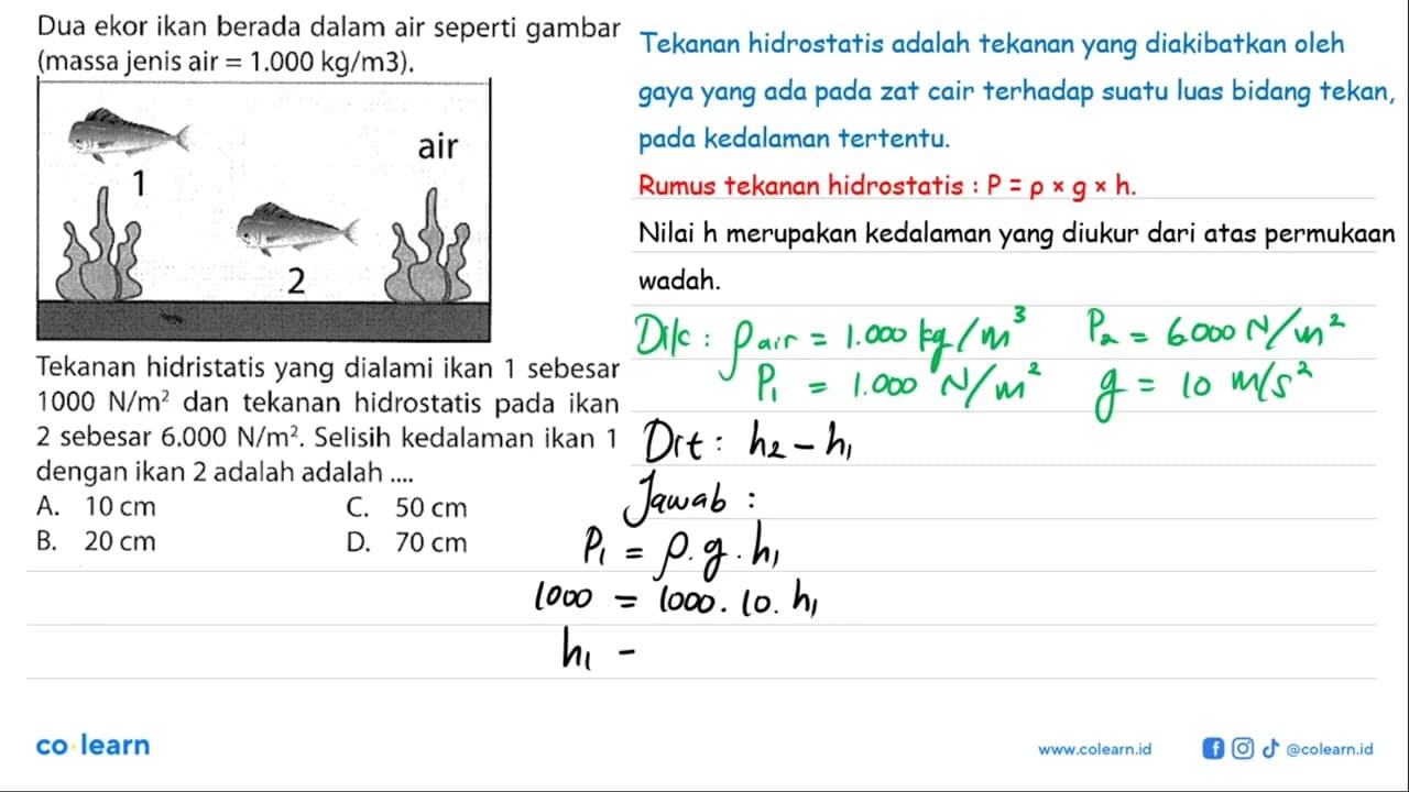 Dua ekor ikan berada dalam air seperti gambar (massa jenis