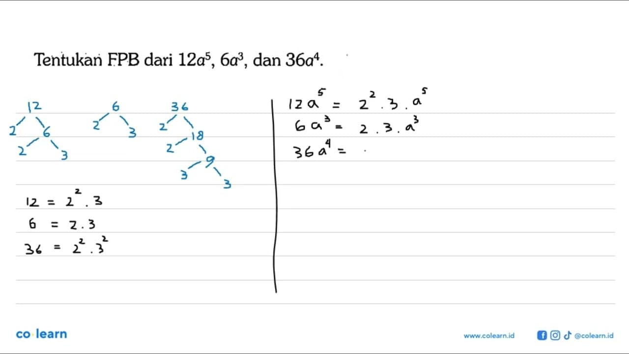 Tentukan FPB dari 12a^5 , 6a^3, dan 36a^4.