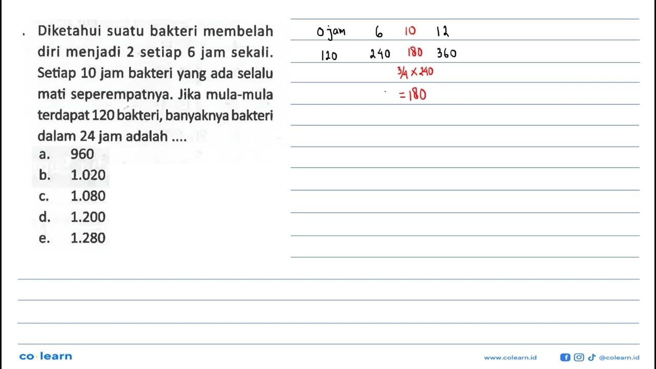 - Diketahui suatu bakteri membelah diri menjadi 2 setiap 6