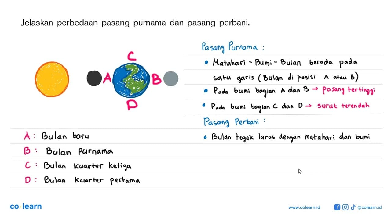 Jelaskan perbedaan pasang purnama dan pasang perbani.