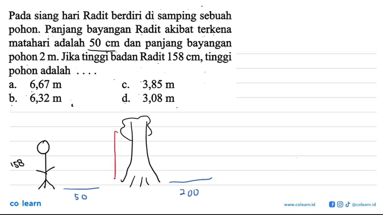 Pada siang hari Radit berdiri di samping sebuah pohon.