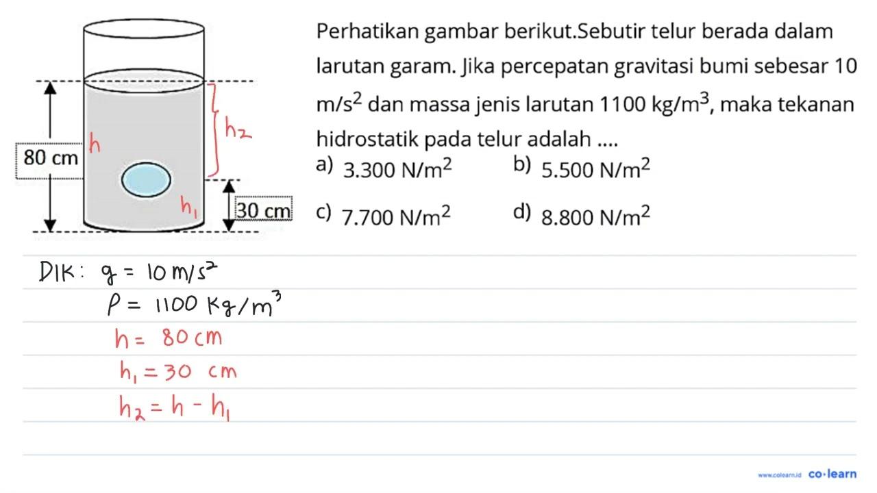 Perhatikan gambar berikut. Sebutir telur berada dalam