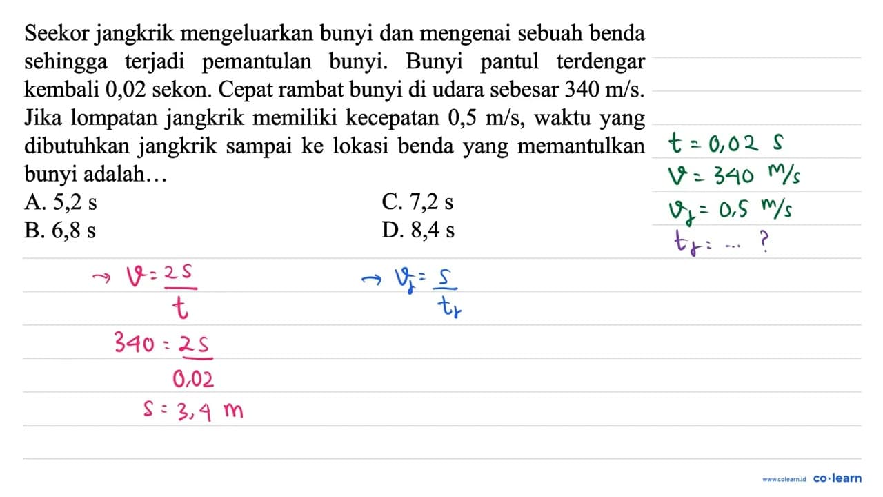 Seekor jangkrik mengeluarkan bunyi dan mengenai sebuah