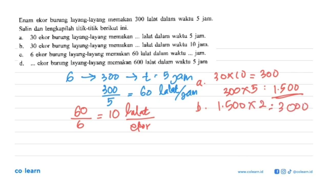 Enam ekor burung layang-layang memakan 300 lalat dalam