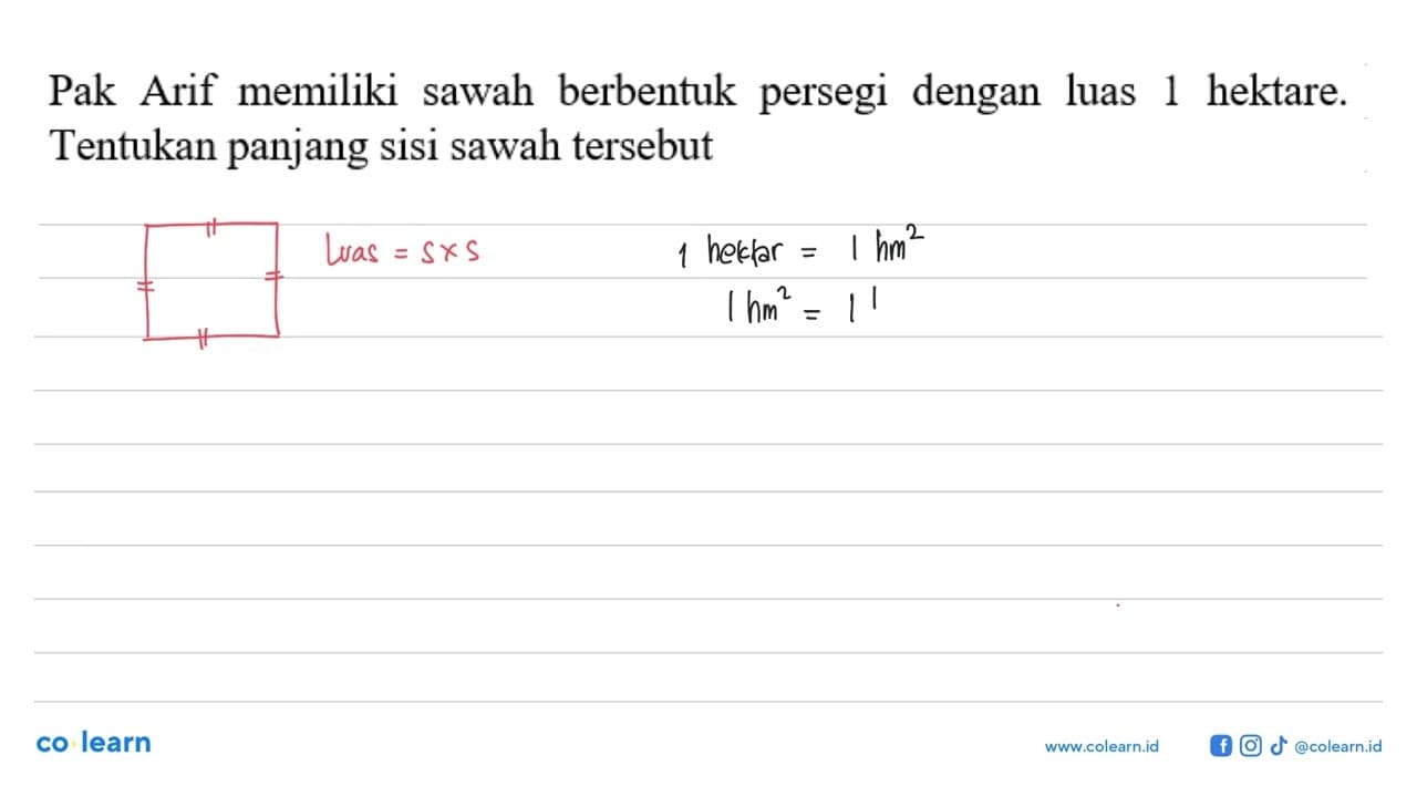 Pak Arif memiliki sawah berbentuk persegi dengan luas 1