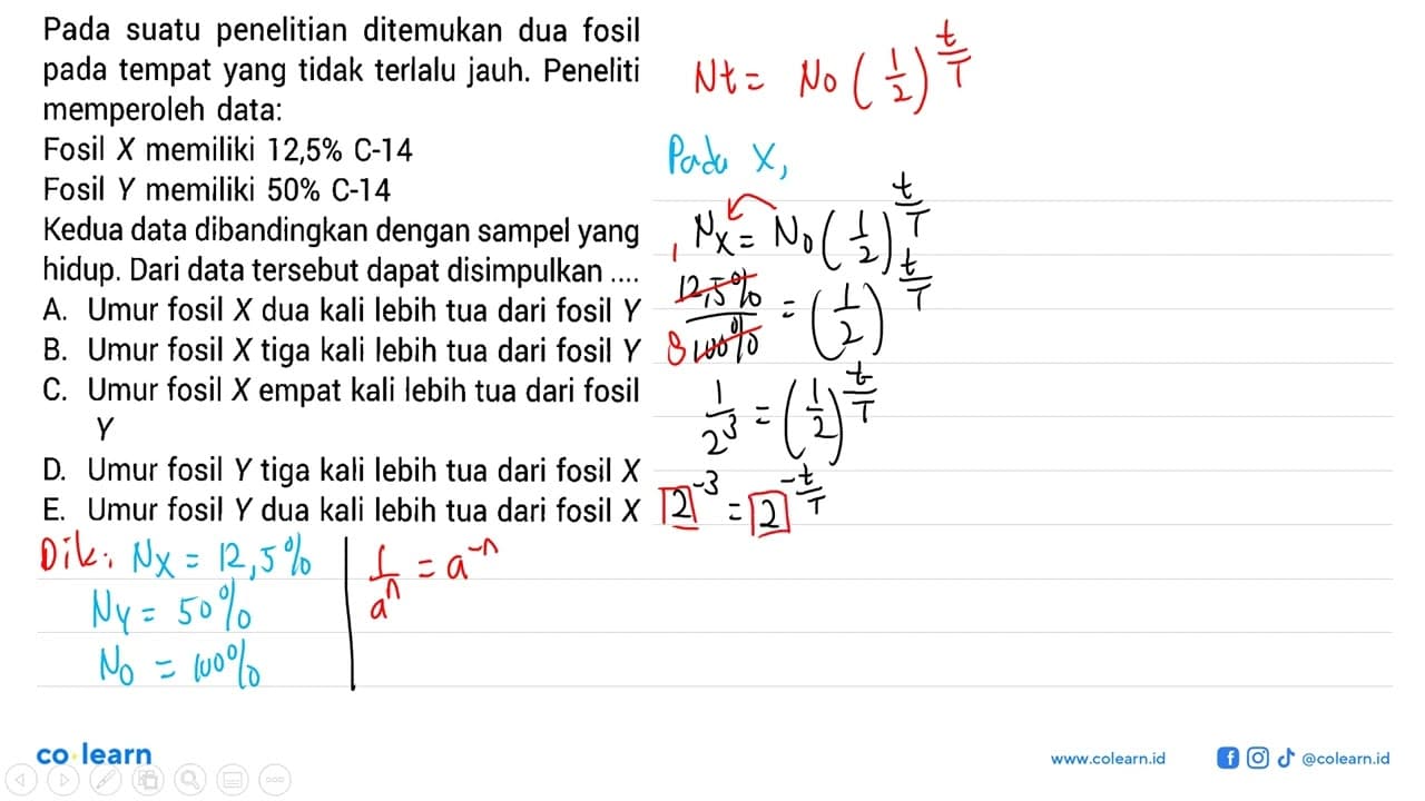 Pada suatu penelitian ditemukan dua fosil pada tempat yang