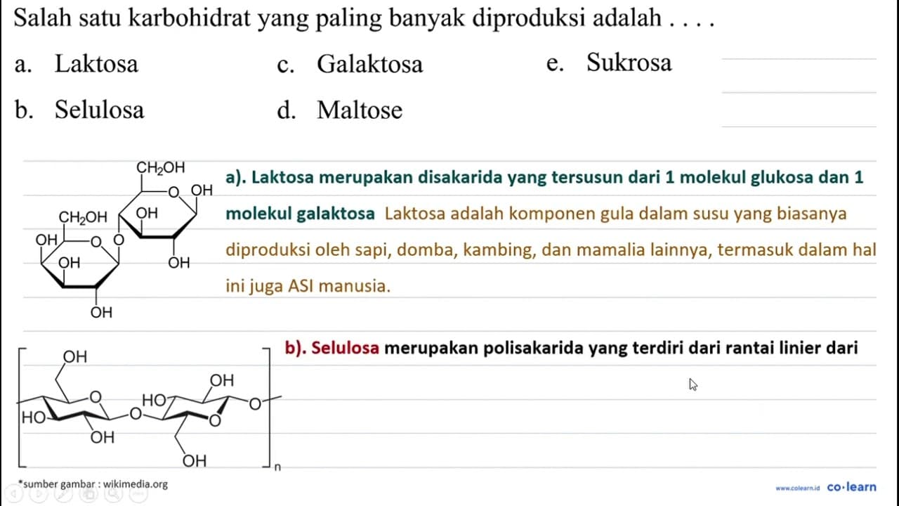 Salah satu karbohidrat yang paling banyak diproduksi adalah