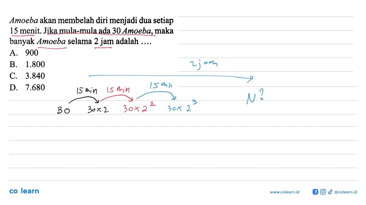 Amoeba akan membelah diri menjadi dua setiap 15 menit. Jika