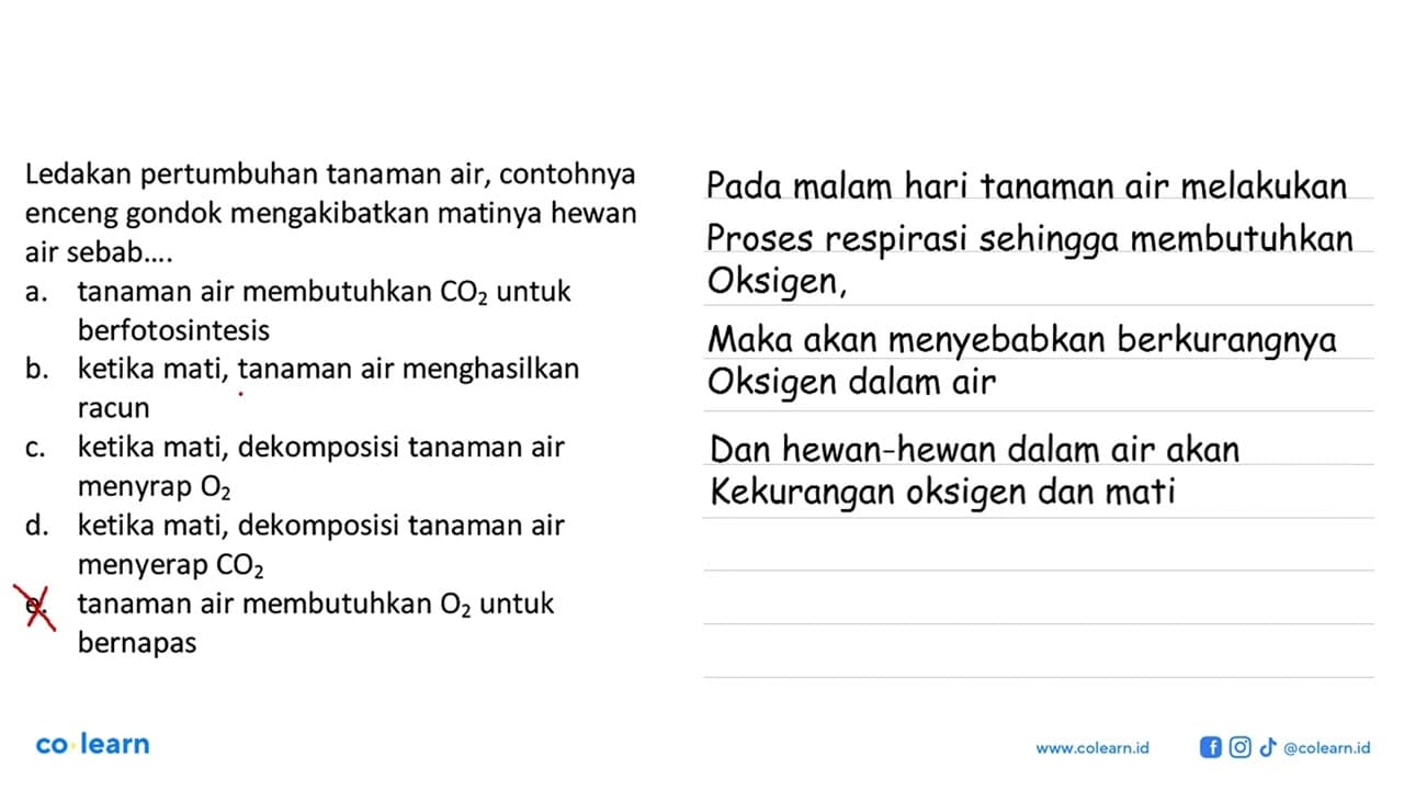 Ledakan pertumbuhan tanaman air, contohnya enceng gondok