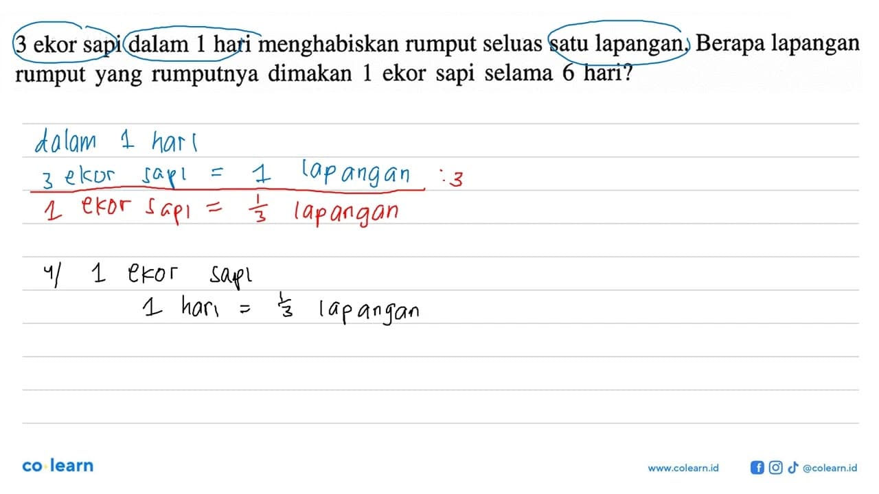 3 ekor sapi dalam 1 hari menghabiskan rumput seluas satu