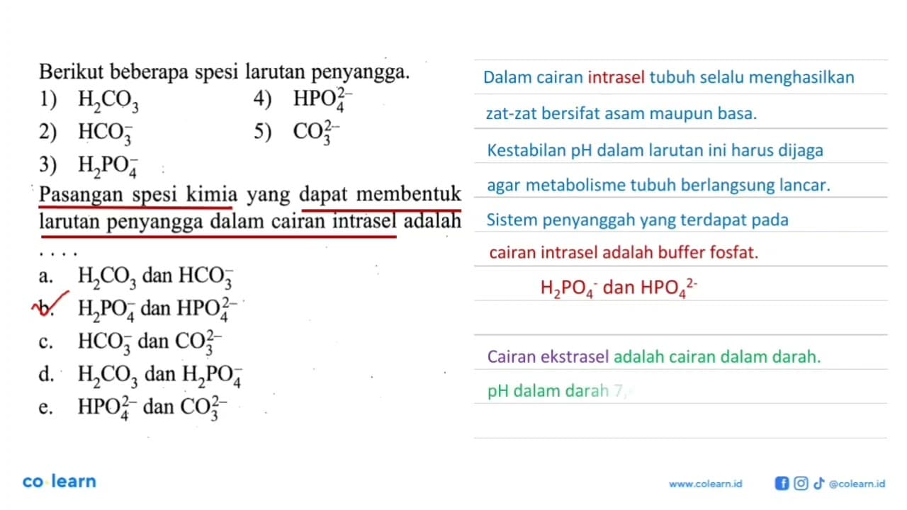 Berikut beberapa spesi larutan penyangga. 1) H2CO3 4)