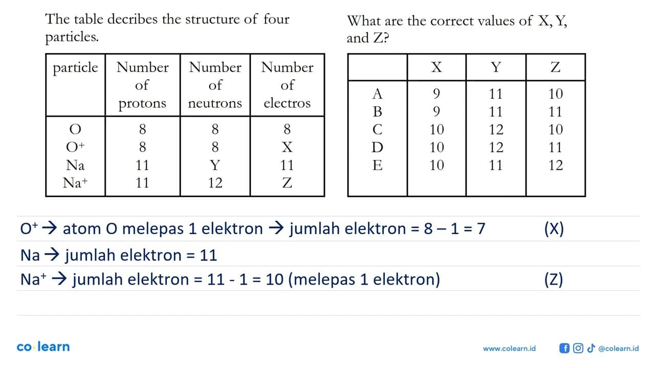 The table decribes the structure of four particles.