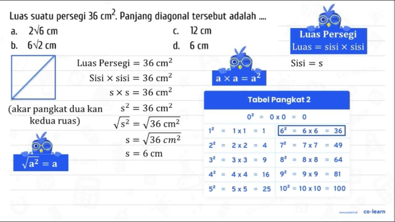 Luas suatu persegi 36 cm^(2) . Panjang diagonal tersebut