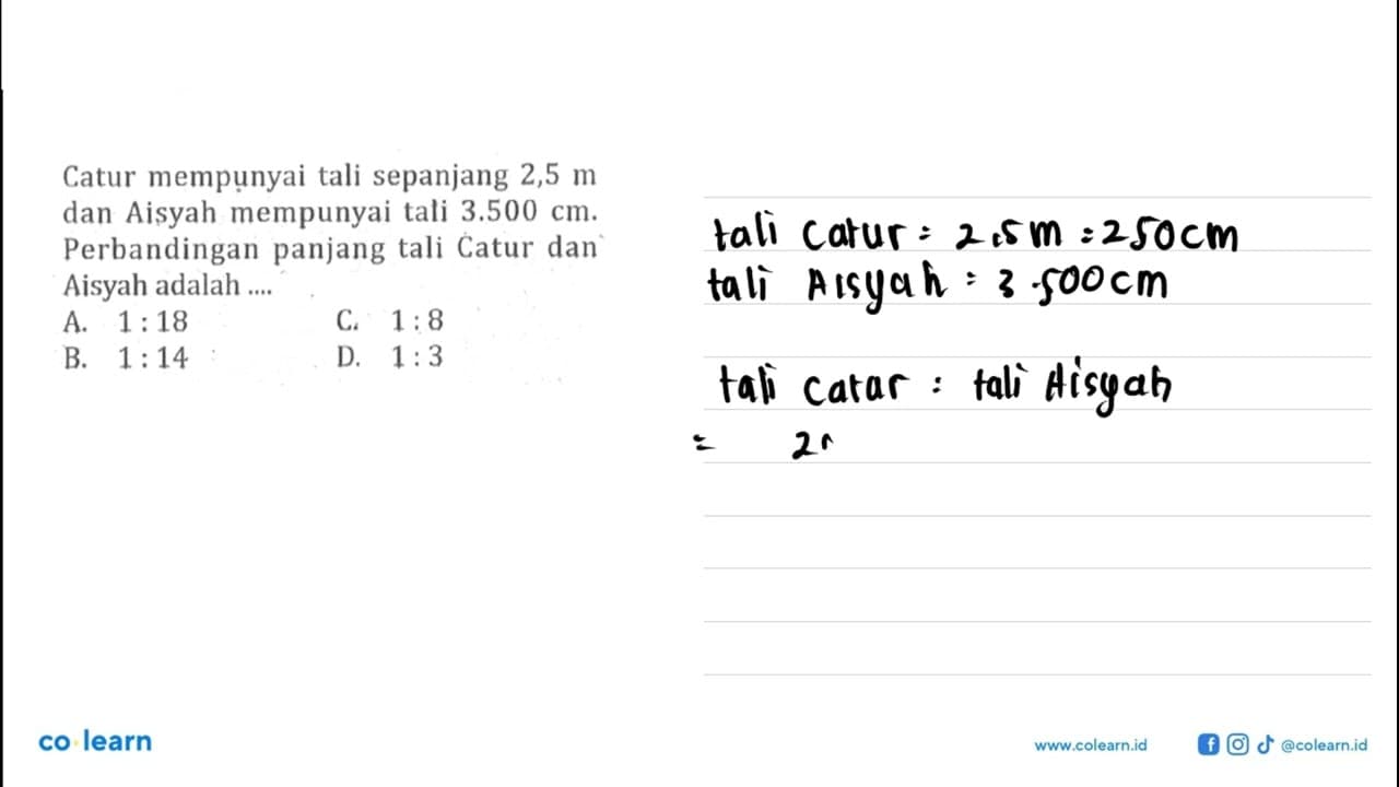 Catur mempụnyai tali sepanjang 2,5 m dan Aisyah mempunyai