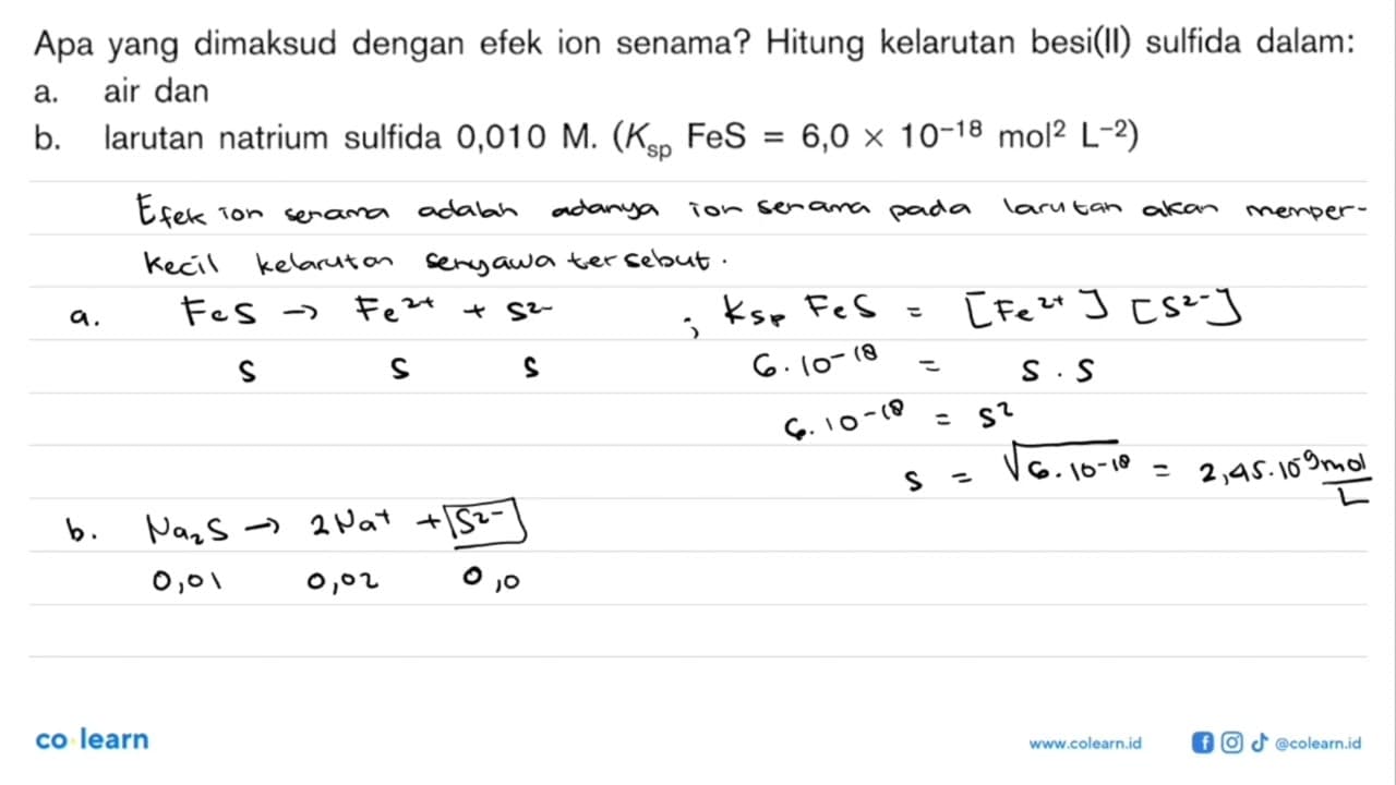 Apa yang dimaksud dengan efek ion senama? Hitung kelarutan