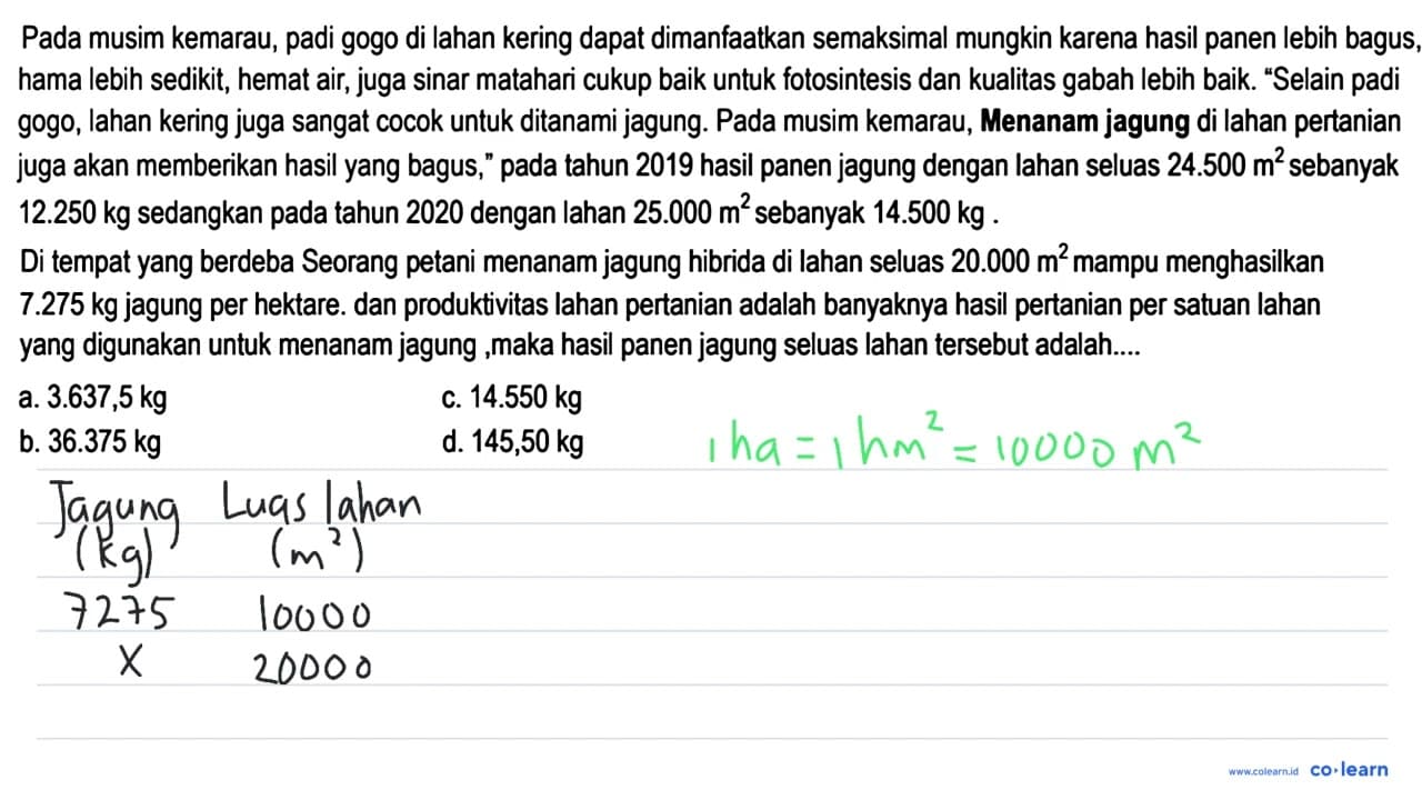 Pada musim kemarau, padi gogo di lahan kering dapat