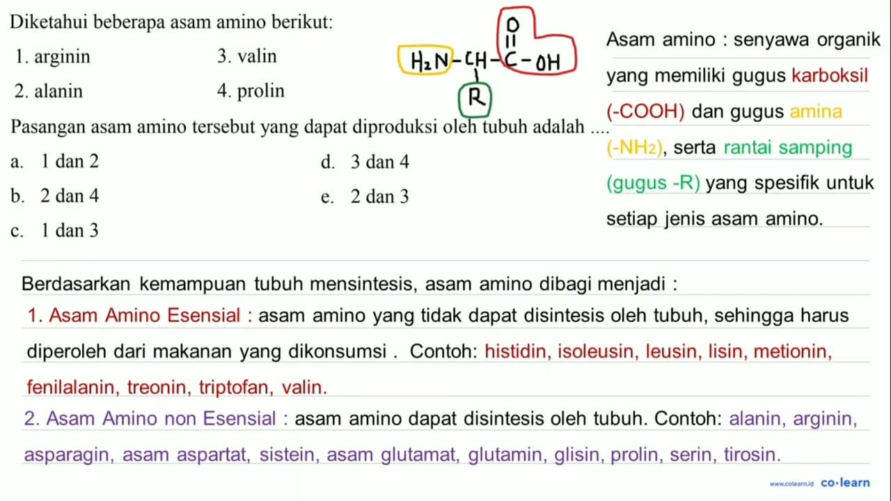 Diketahui beberapa asam amino berikut: 1. arginin 3. valin