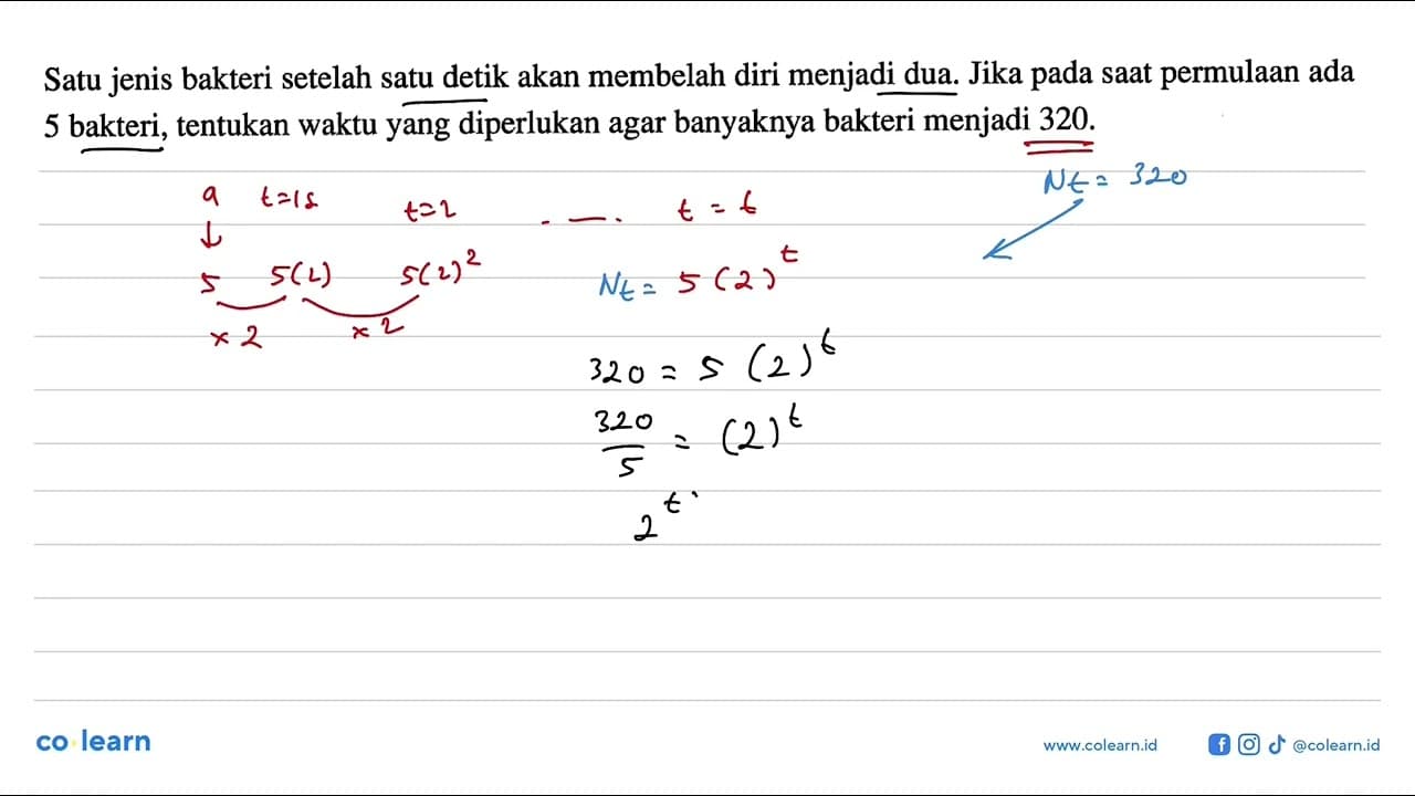 Satu jenis bakteri setelah satu detik akan membelah diri